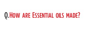 essential oils distillation image